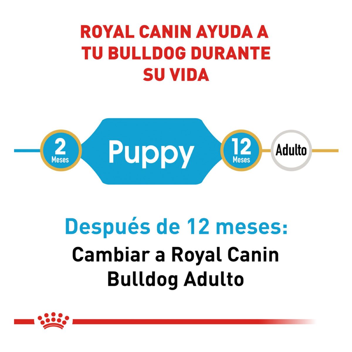 Royal Canin Bulldog Puppy - Alimento para Cachorro Royal Canin Bulldog Puppy - Alimento para Cachorro